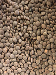 Lentilles brunes (0,27$/100g)